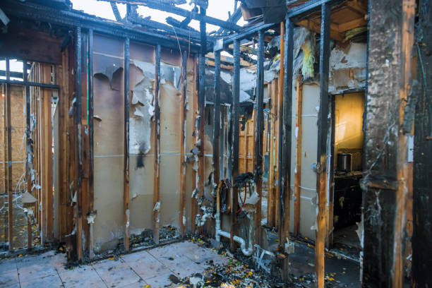 Professional Fire Damage Removal technician working in Ignacio, CO